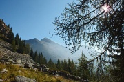 Ritorno col sole in CIMA CADELLE (2483 m.), salito dalla Baita del Camoscio il 20 settembre 2013  - FOTOGALLERY